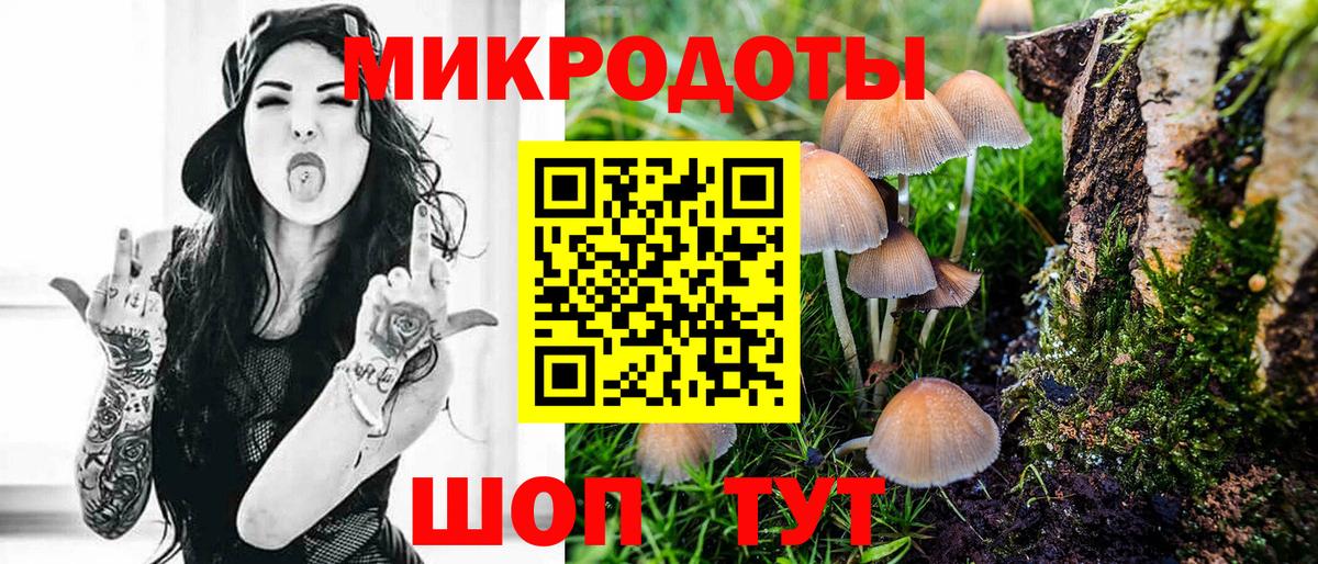 Долгопрудный  Псилоцибиновые грибы прущие грибы  Вход с VPN  Псилоцибиновые грибы Cubensis 