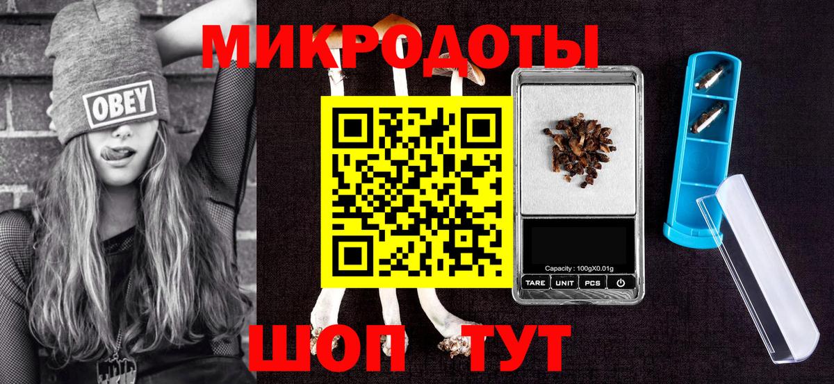 Псилоцибиновые грибы мухоморы Долгопрудный